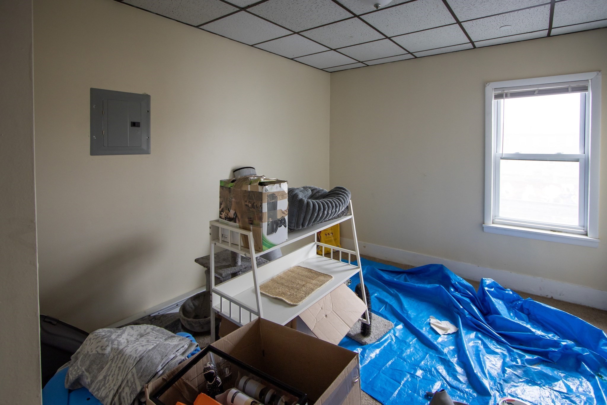 46 Millbury St Property Photo 16
