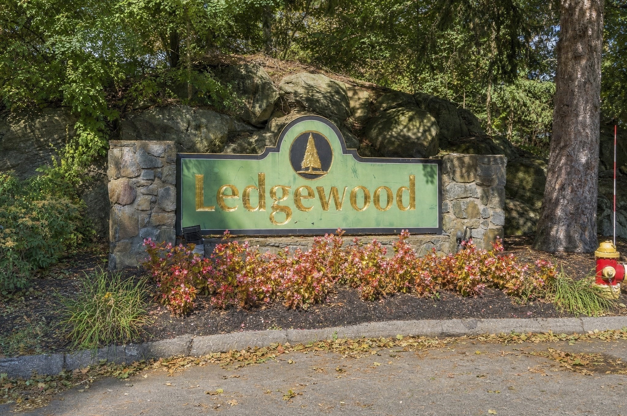 12 Ledgewood Way # 21 Property Photo 4