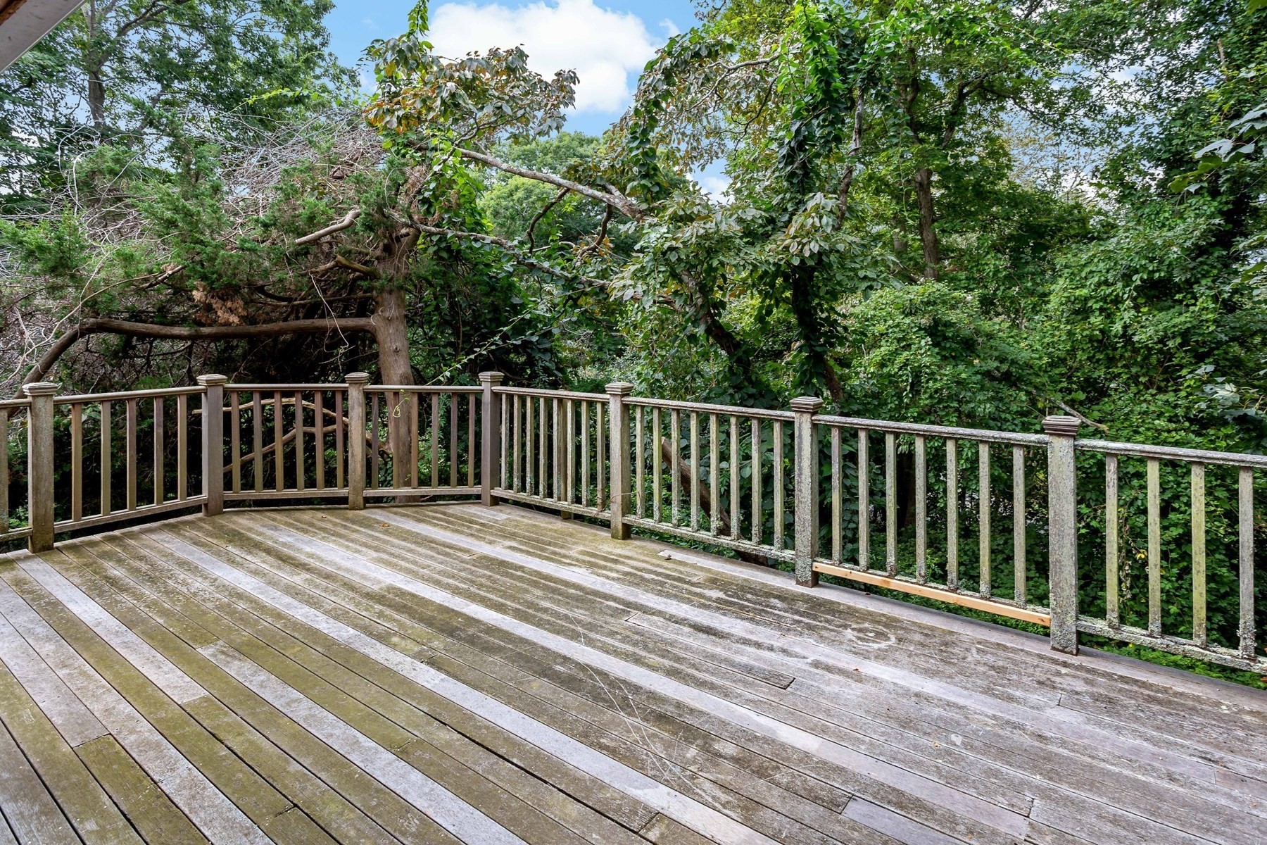 1 Fern Ln # 0 Property Photo 3