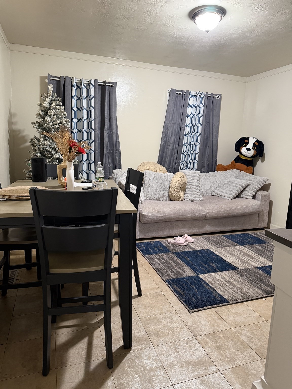 56 Montmorenci St. Property Photo 4