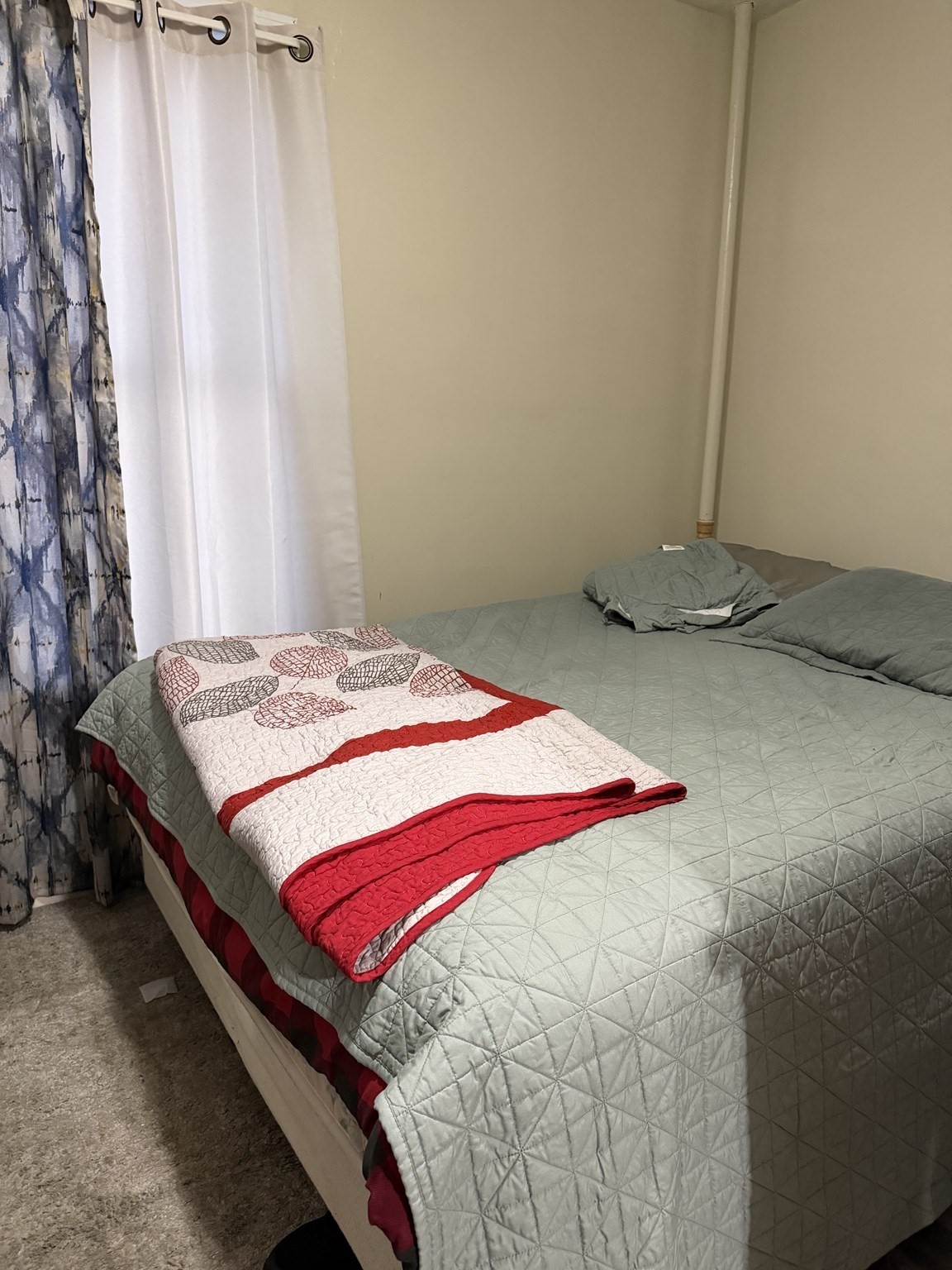56 Montmorenci St. Property Photo 6