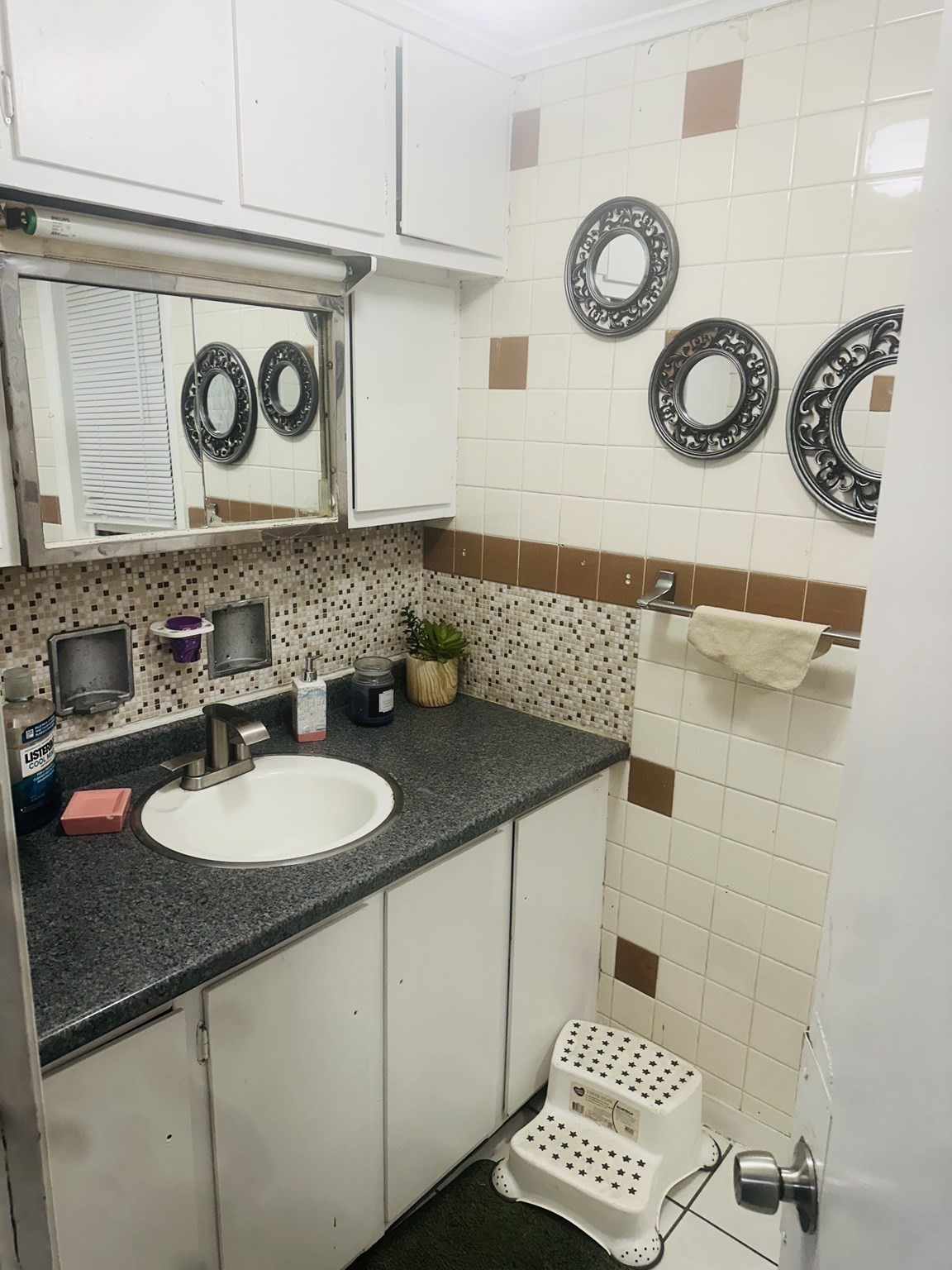 60 Montmorenci St. Property Photo 13