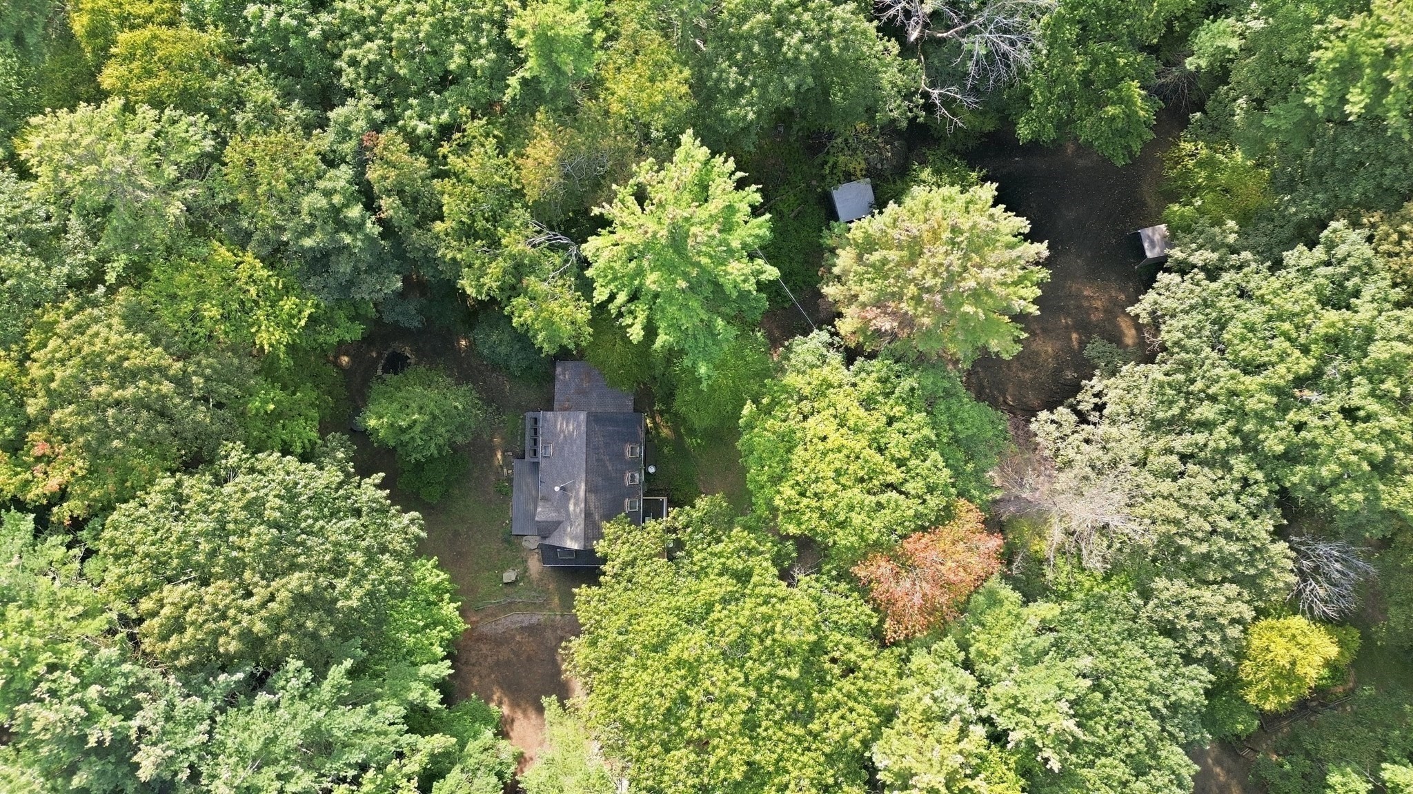 444 Old Dana Rd Property Photo 41