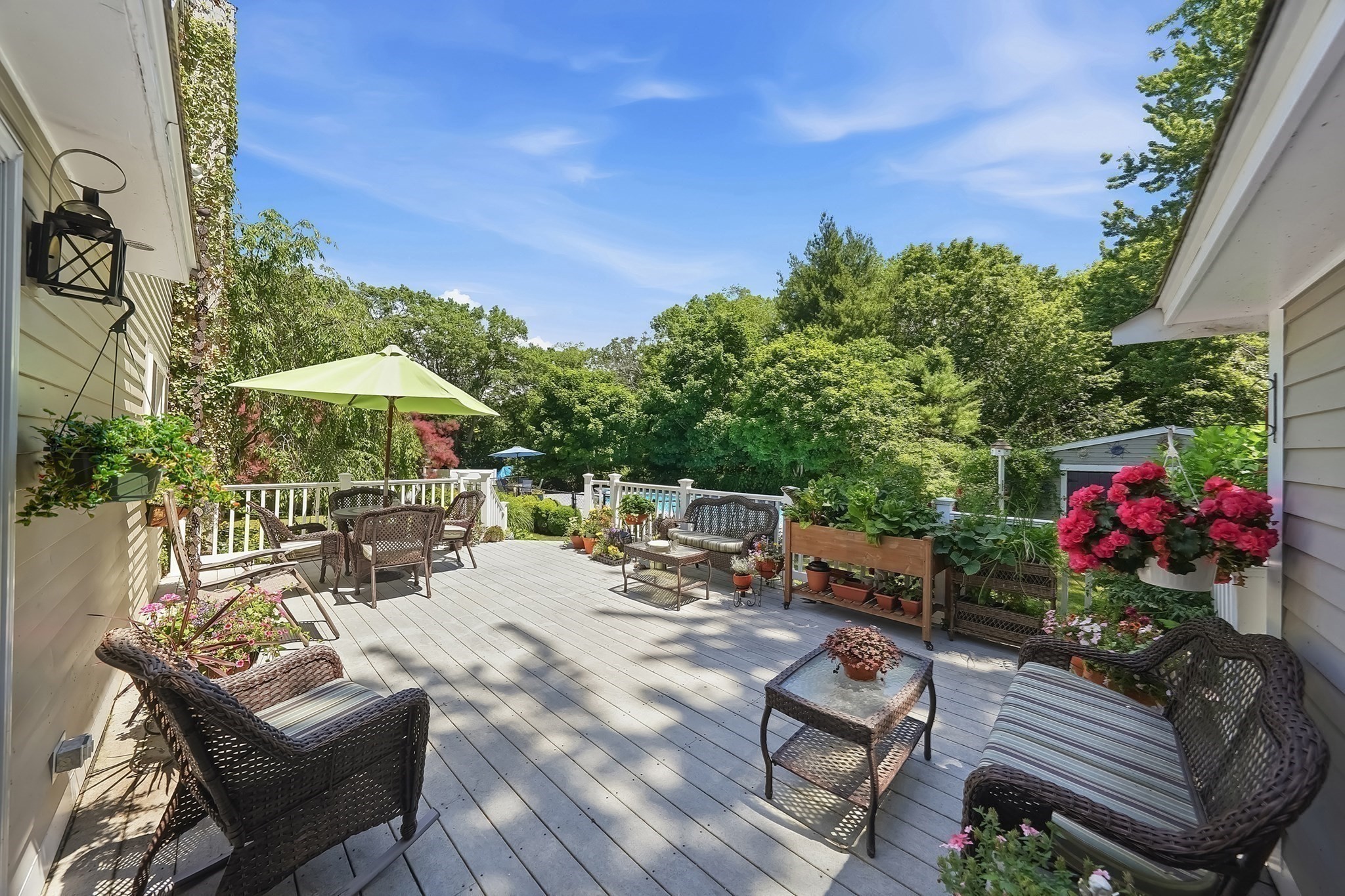 135 Newland Property Photo 14
