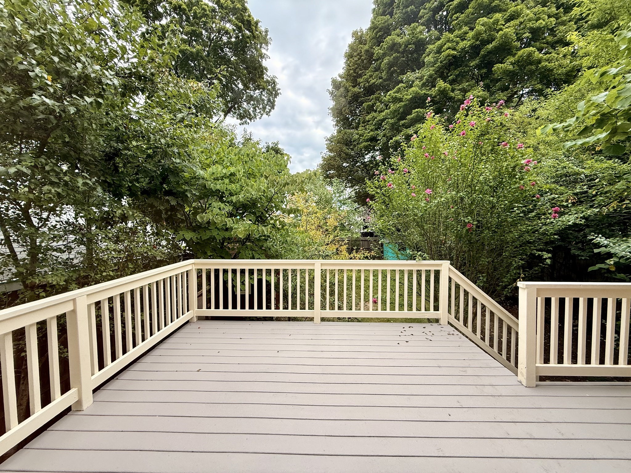 154 Pine Street Property Photo 5