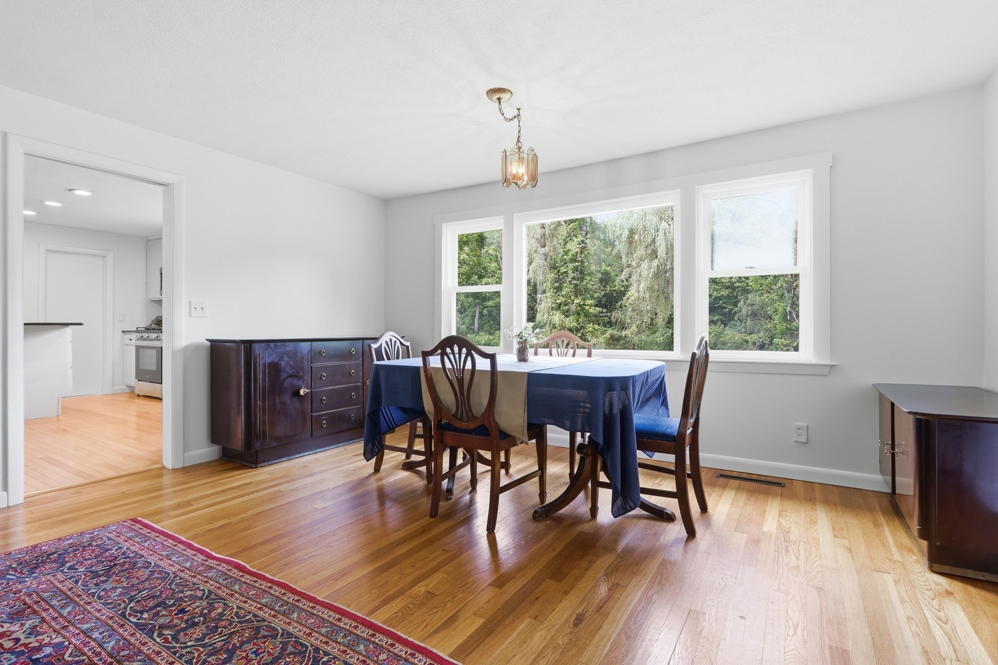 501 Newtown Road Property Photo 15