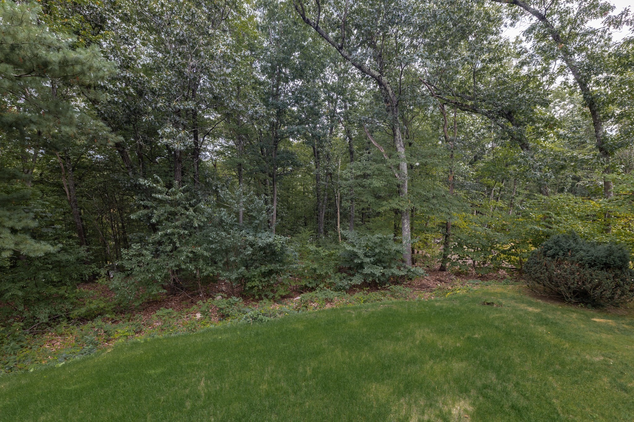 54 Checkerberry Ln Property Photo 37