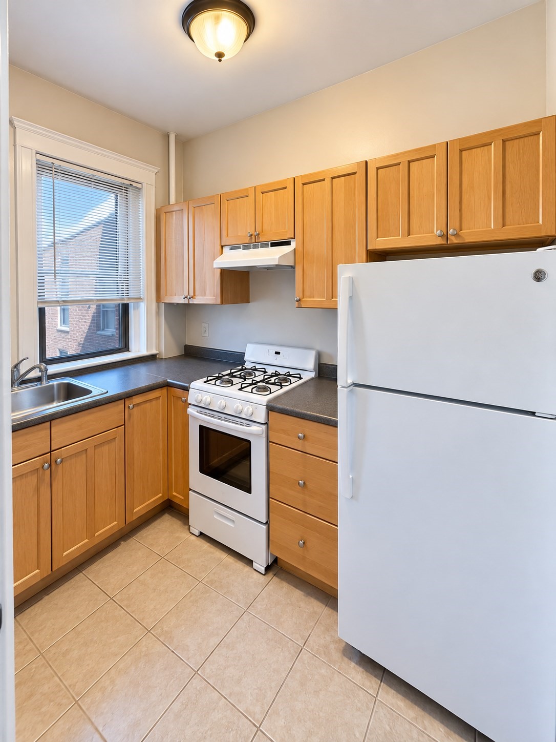 1560 Commonwealth Ave # 4 Property Photo 6