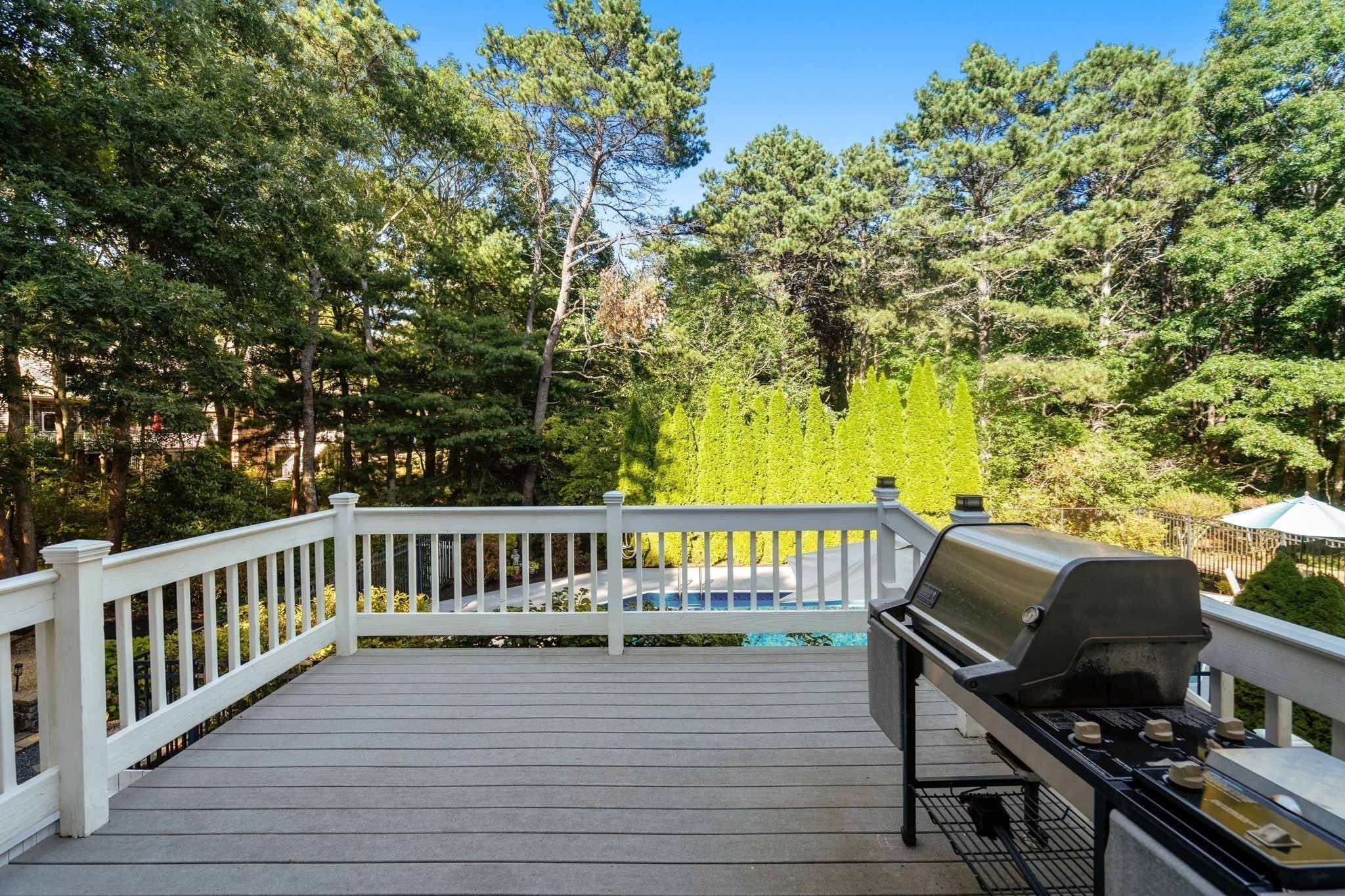 62 Quail Run Property Photo 11