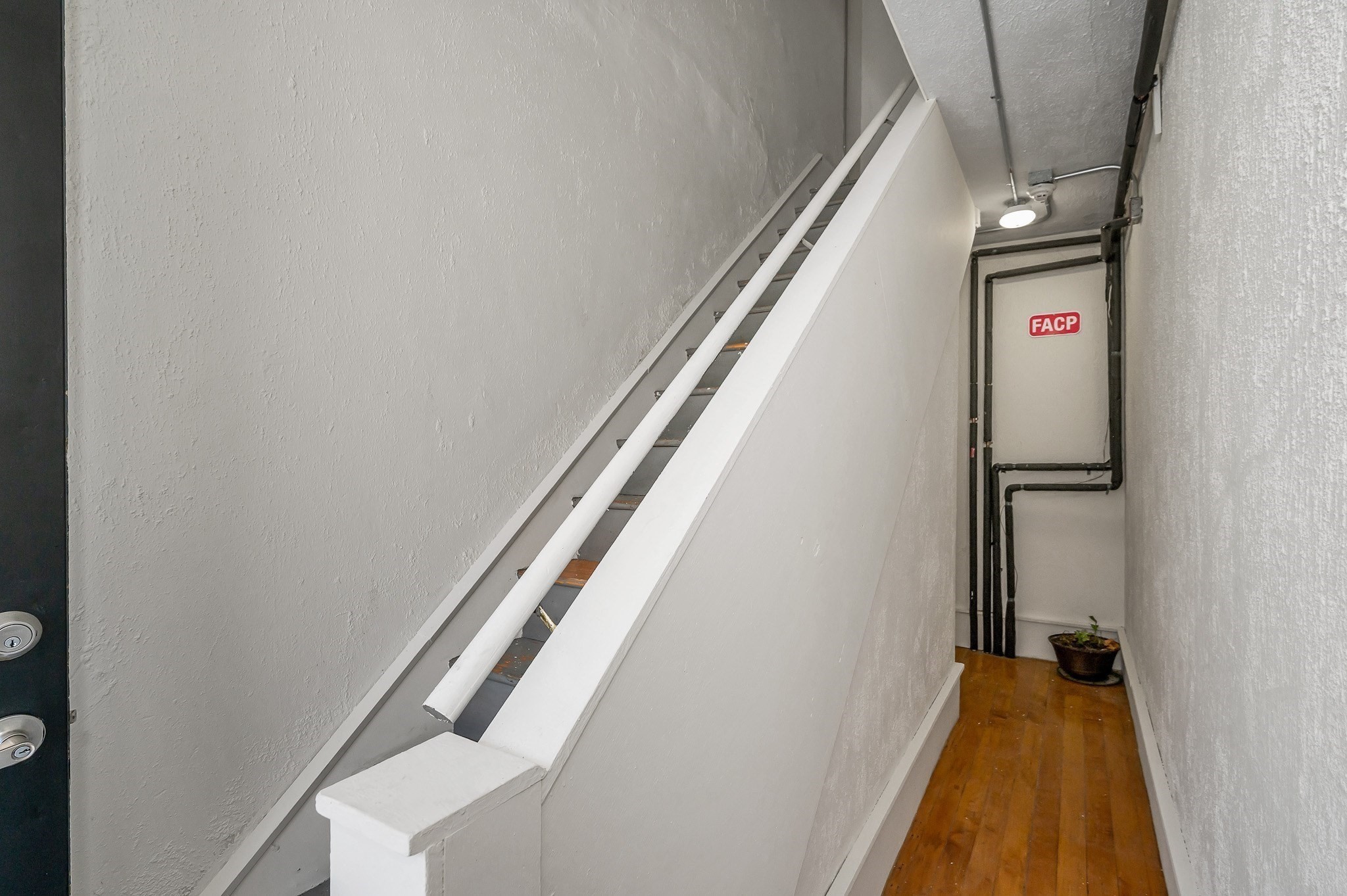 3-13 Agawam St. Property Photo 18
