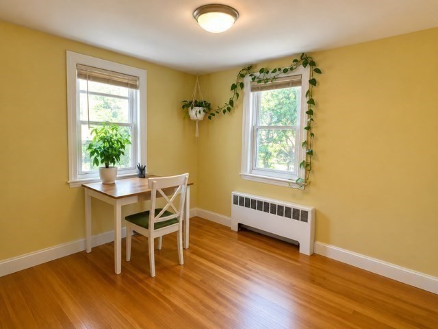 194 Weston Street Property Photo 17