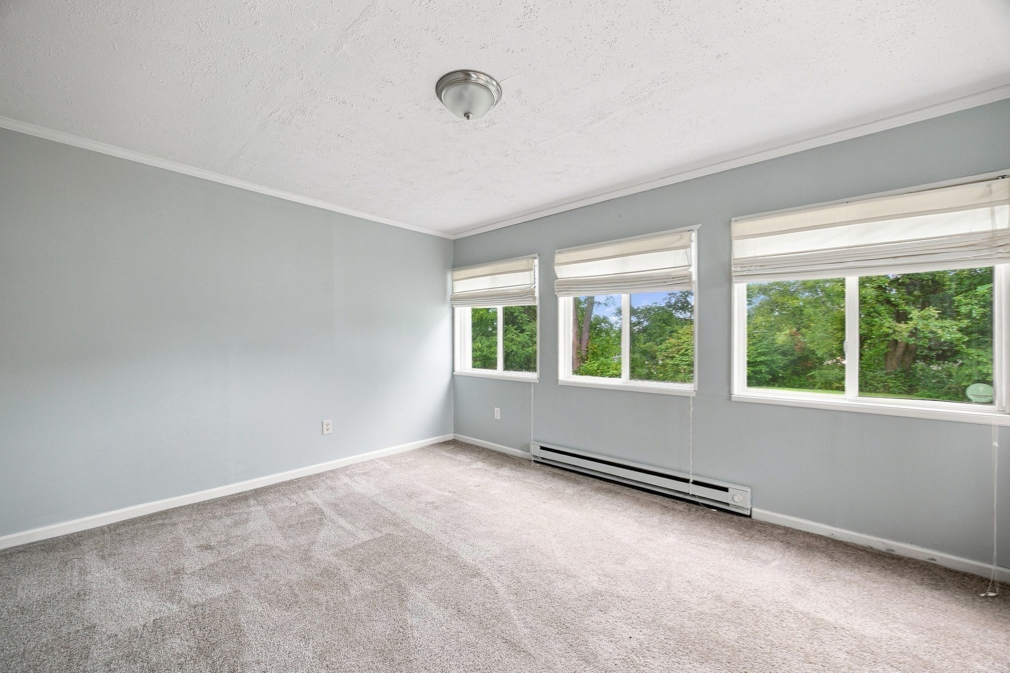 12 Park Ave Property Photo 16