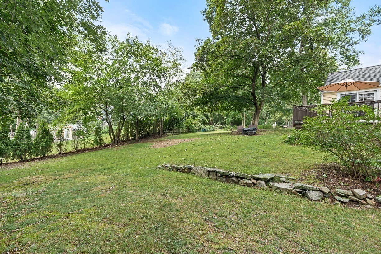 8 Moore Road Property Photo 34