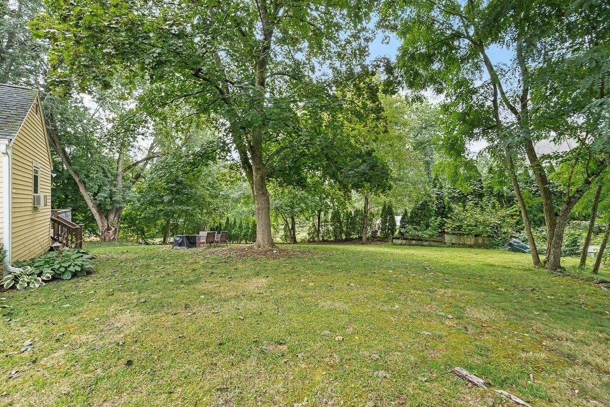 8 Moore Road Property Photo 35