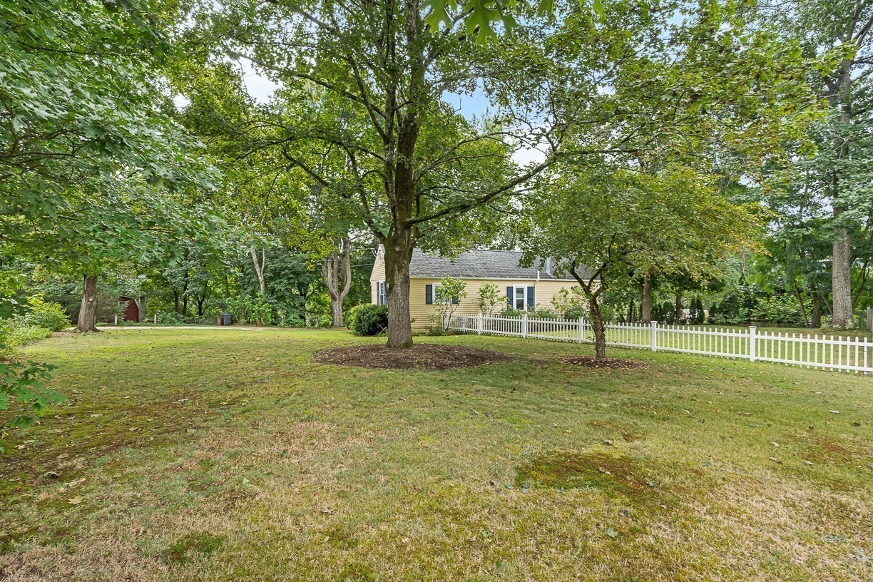 8 Moore Road Property Photo 38
