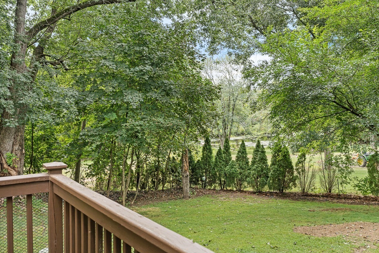 8 Moore Road Property Photo 39