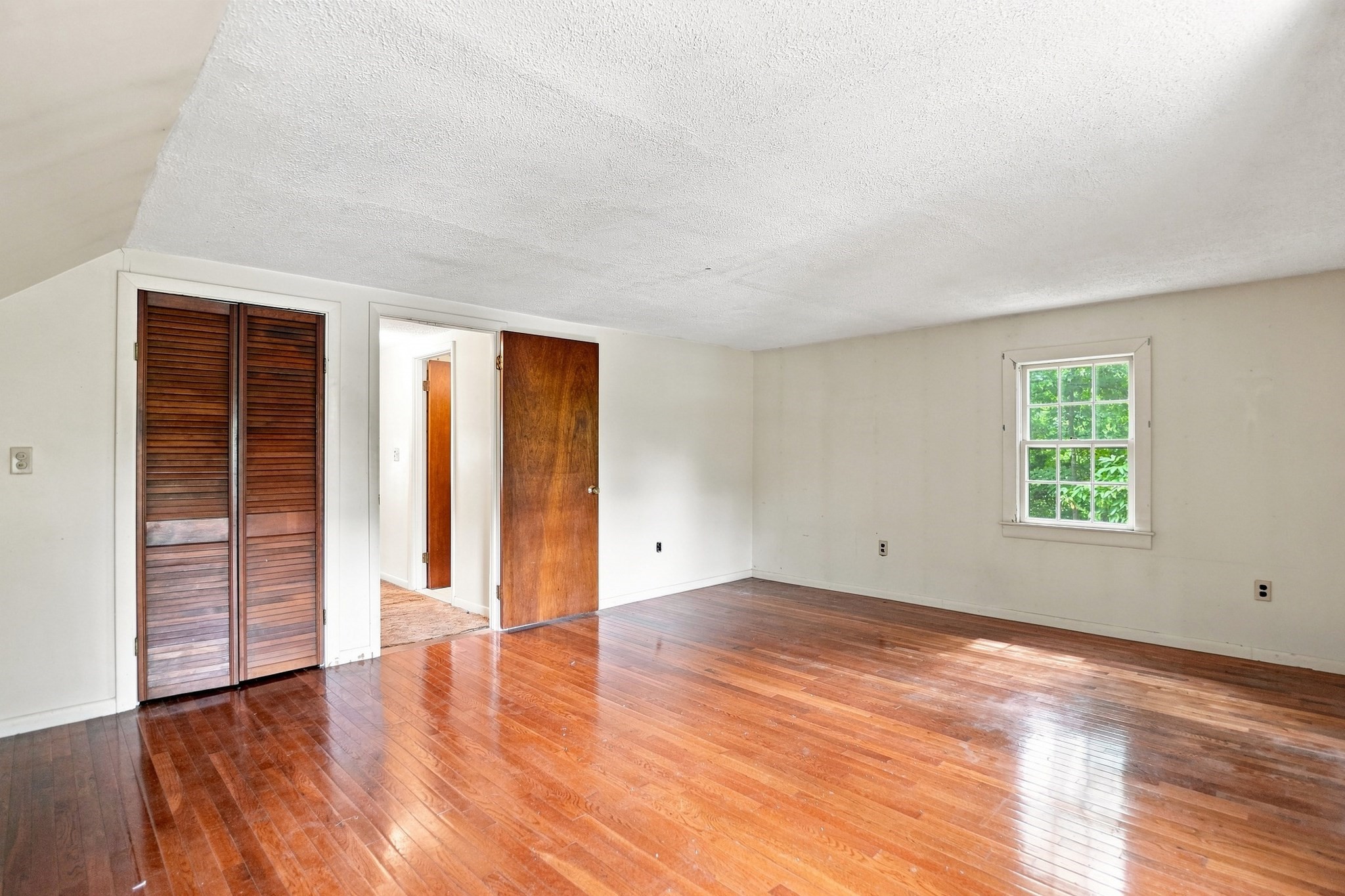 38 Millham St Property Photo 12