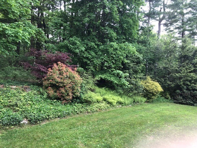 9 Lawsbrook Property Photo 6