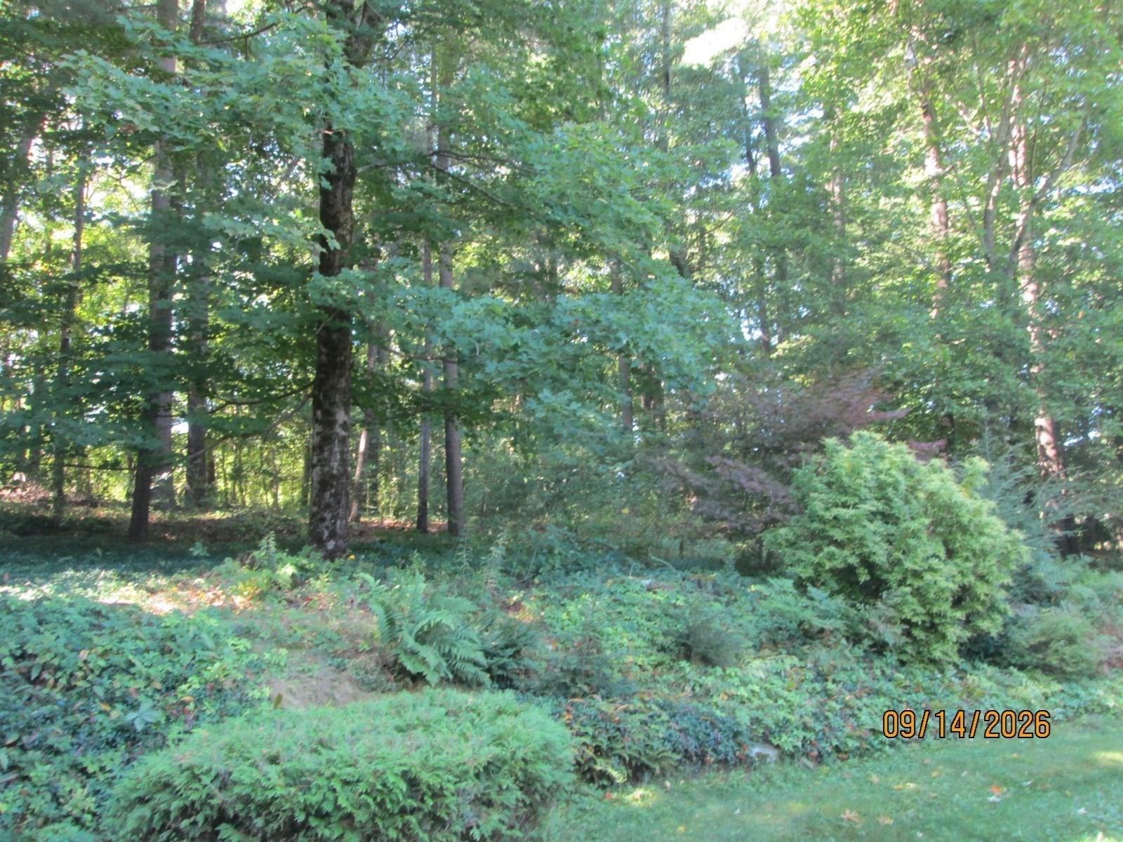 9 Lawsbrook Property Photo 28