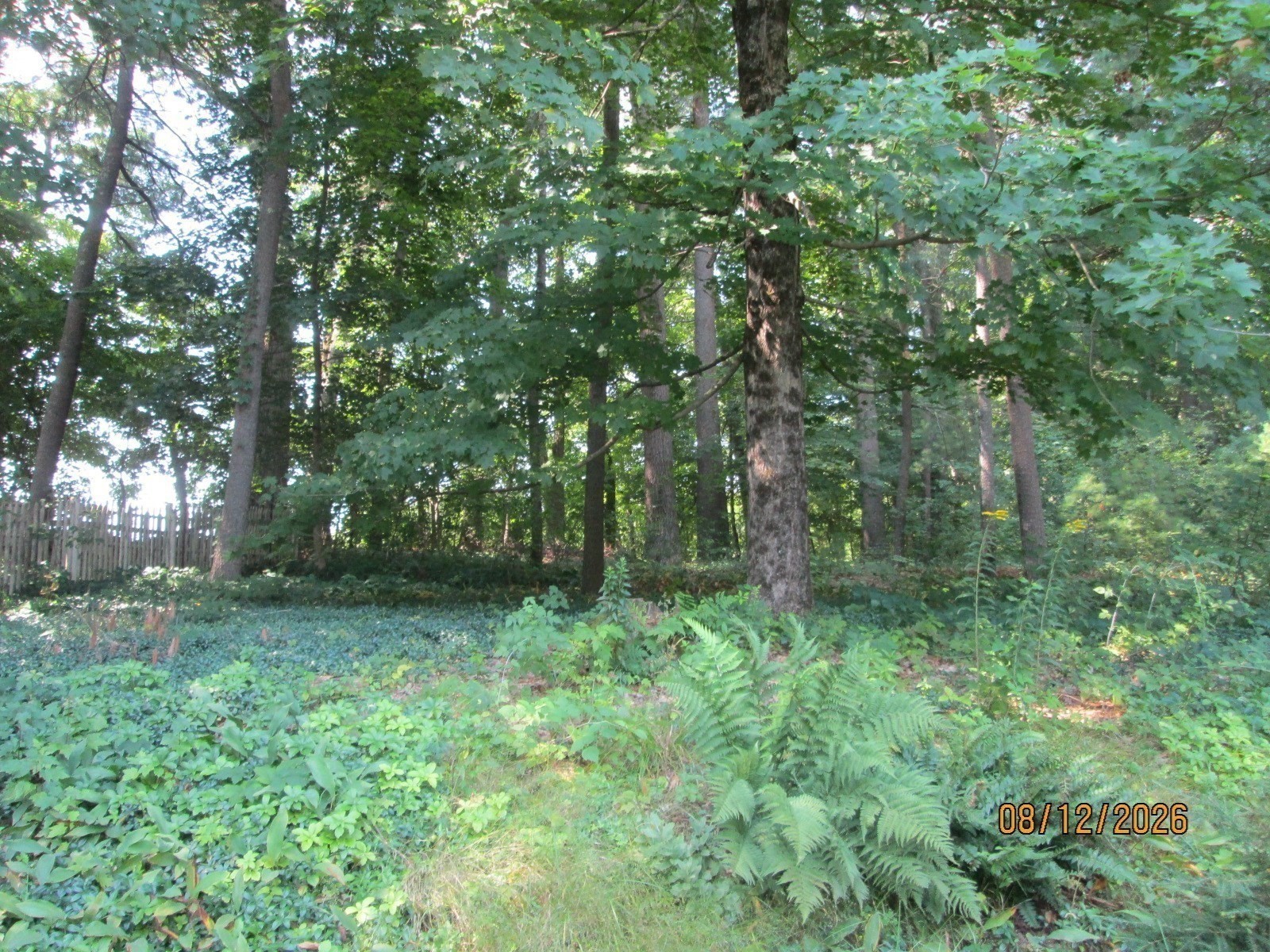 9 Lawsbrook Property Photo 29