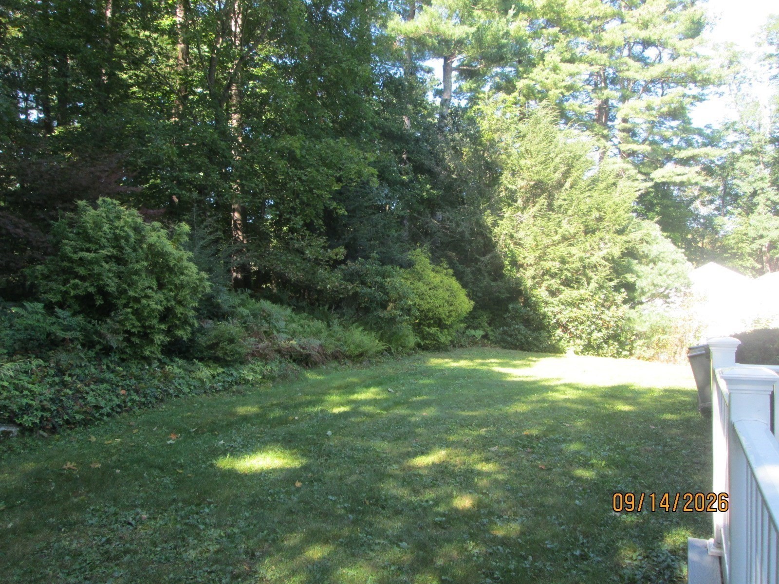 9 Lawsbrook Property Photo 30