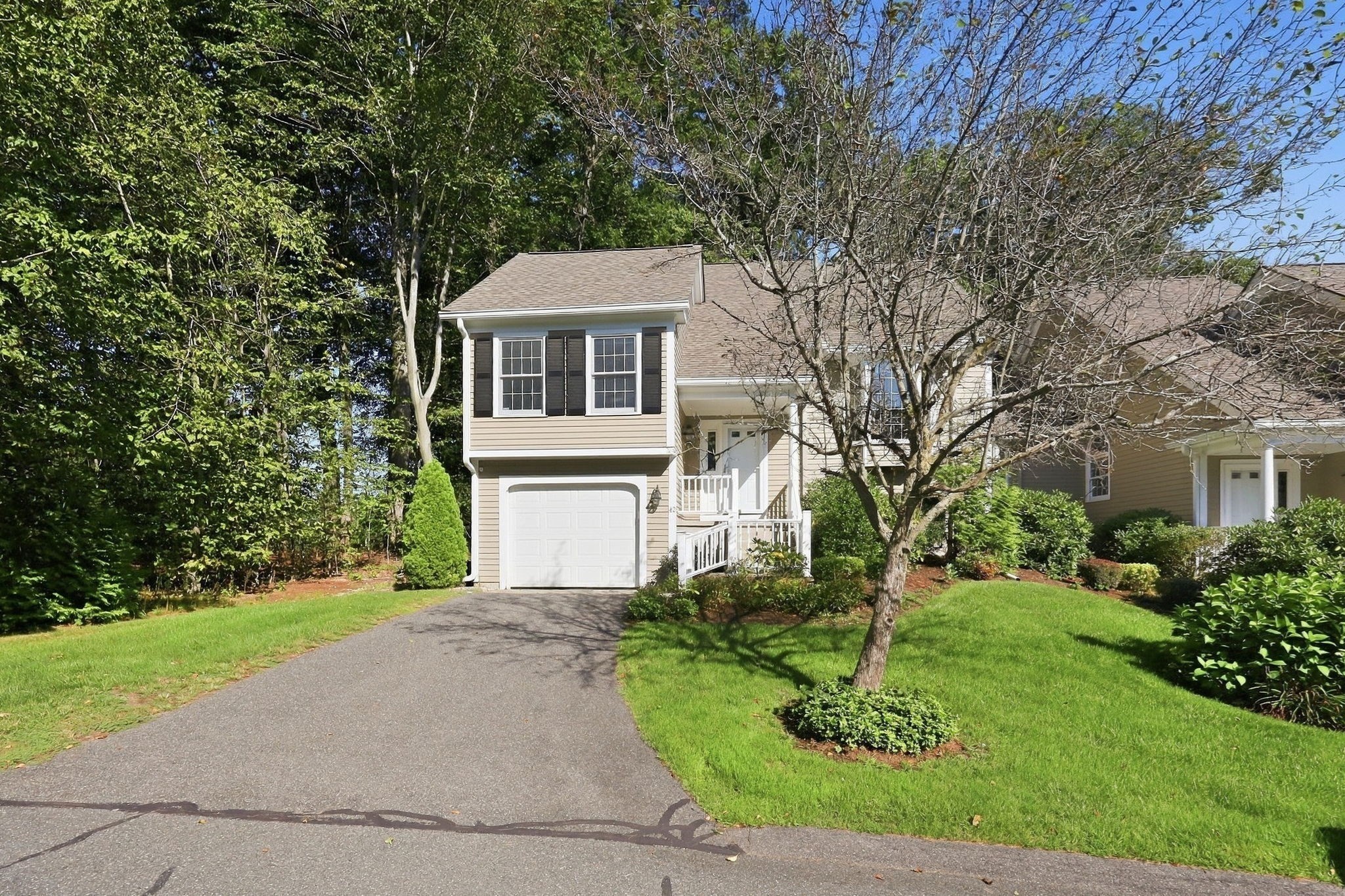 42 Shady Brook # 42 Property Photo 3