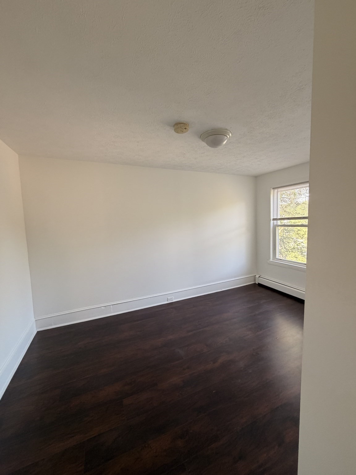 1428 Water St Rear Property Photo 15