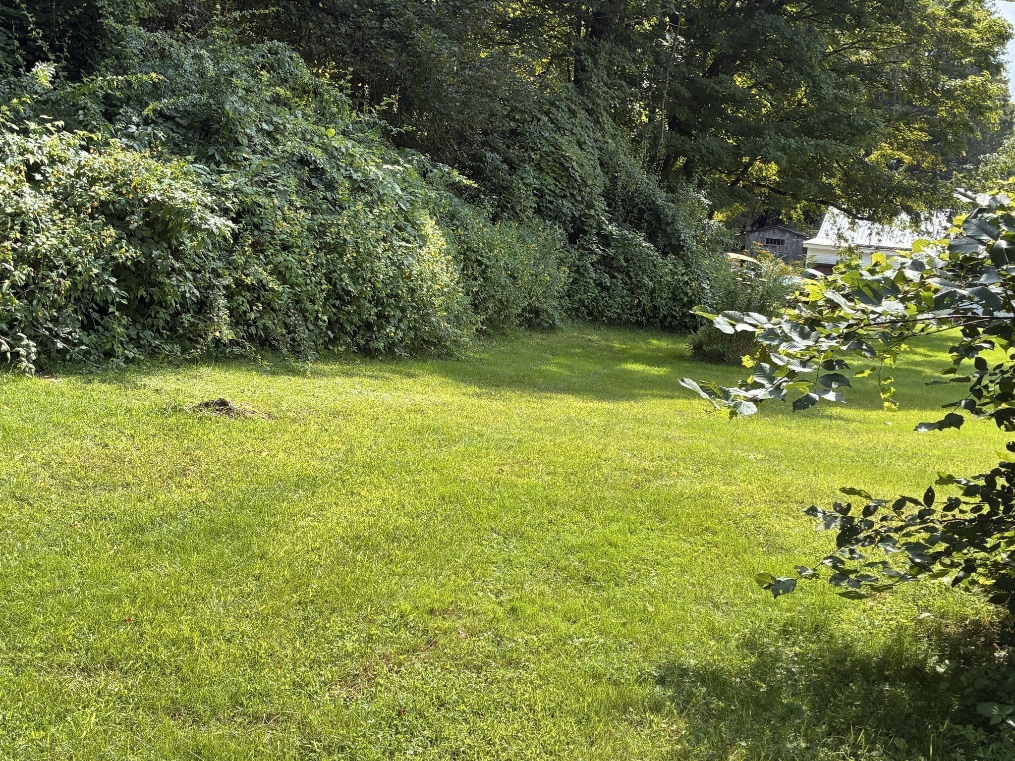 9 River St Property Photo 4