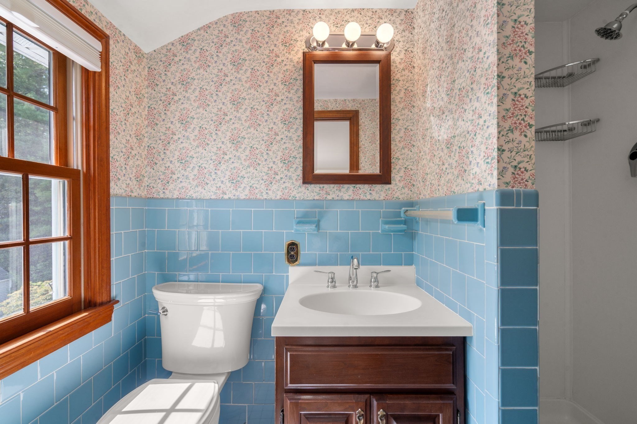 681 High Street Property Photo 23