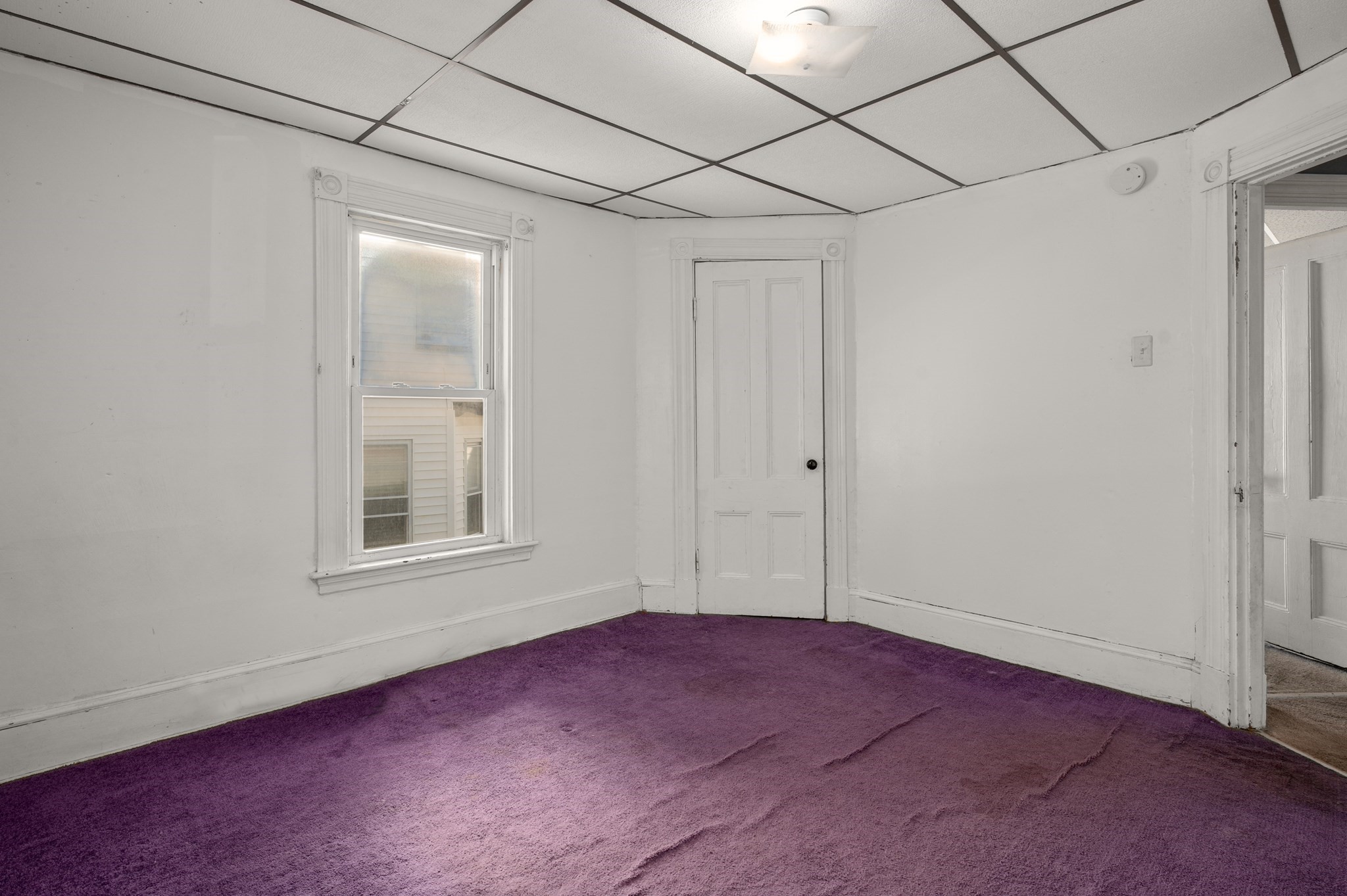 38 Clayton St Property Photo 33