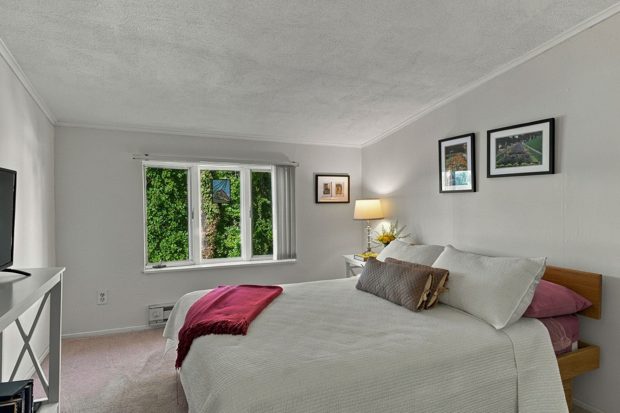 1 Alnette Road Property Photo 36