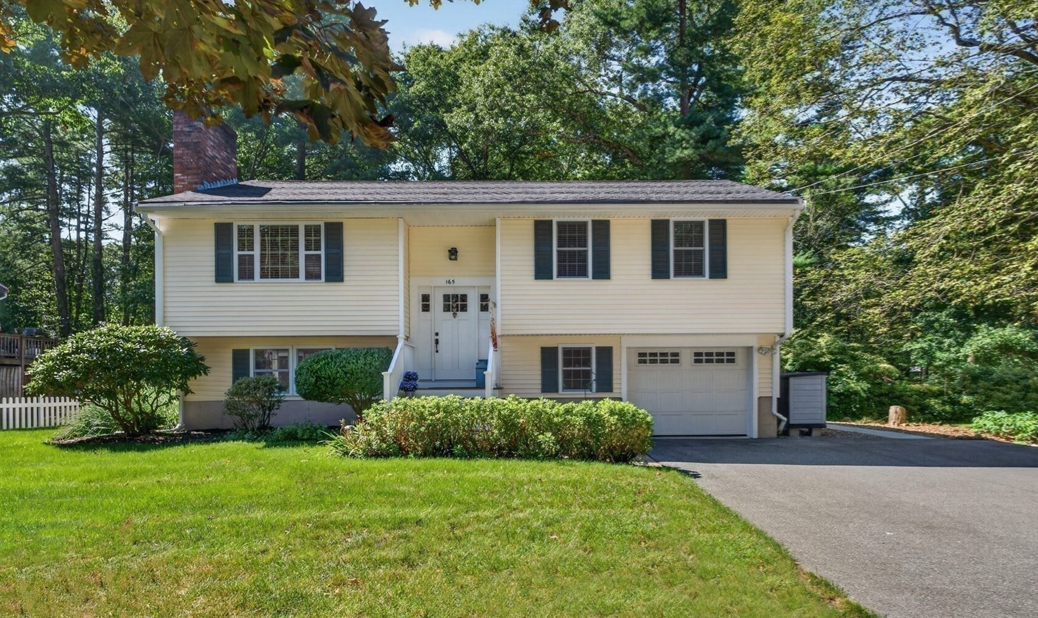 165 Forest Street Property Photo 34