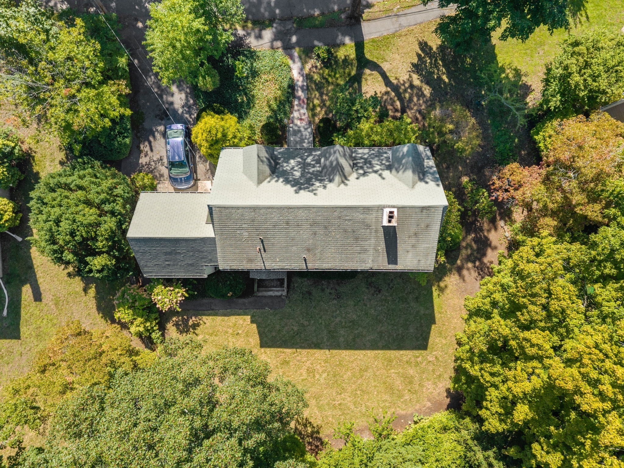 20 Buswell Park Property Photo 21