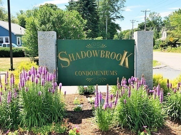 16 Shadowbrook Ln # 35 Property Photo 18