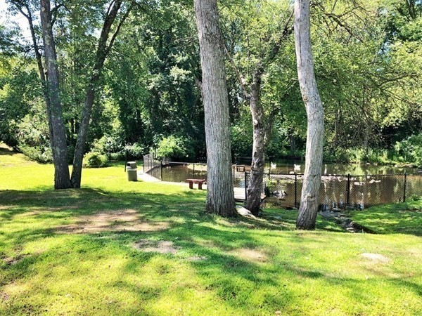 16 Shadowbrook Ln # 35 Property Photo 21