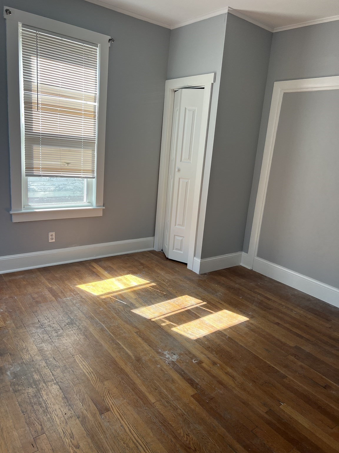 26 Carson St Property Photo 3