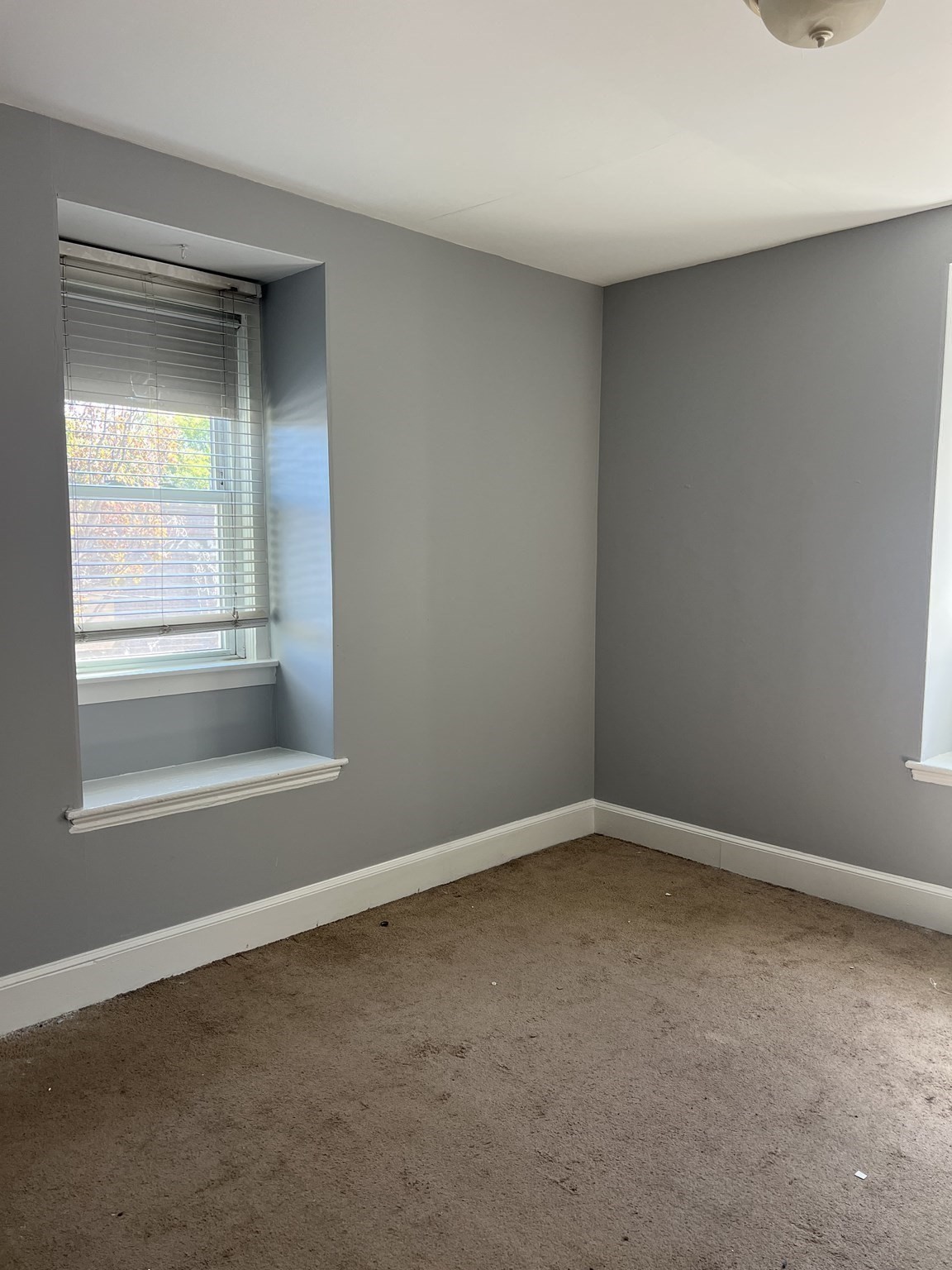 26 Carson St Property Photo 6
