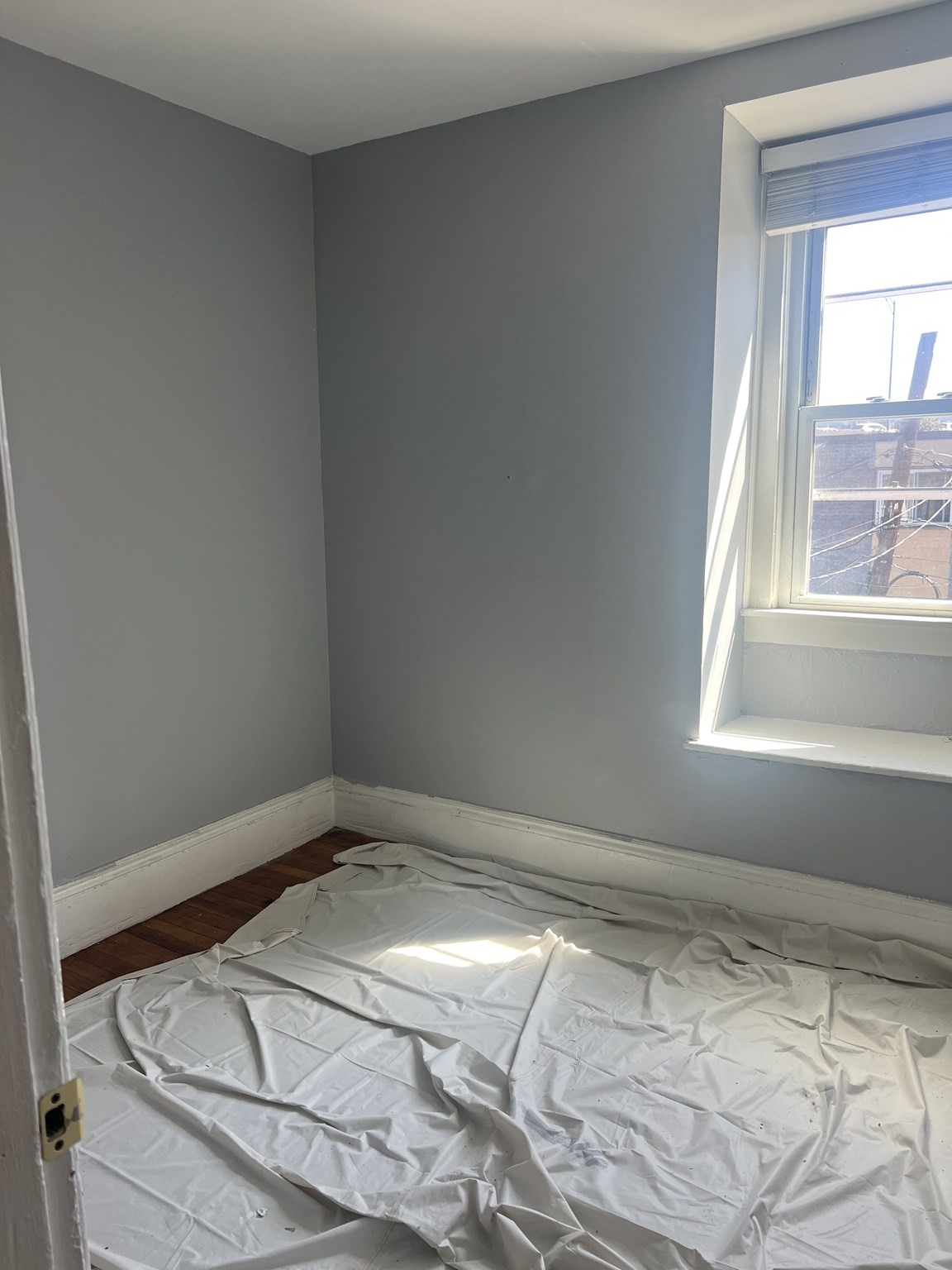 26 Carson St Property Photo 23