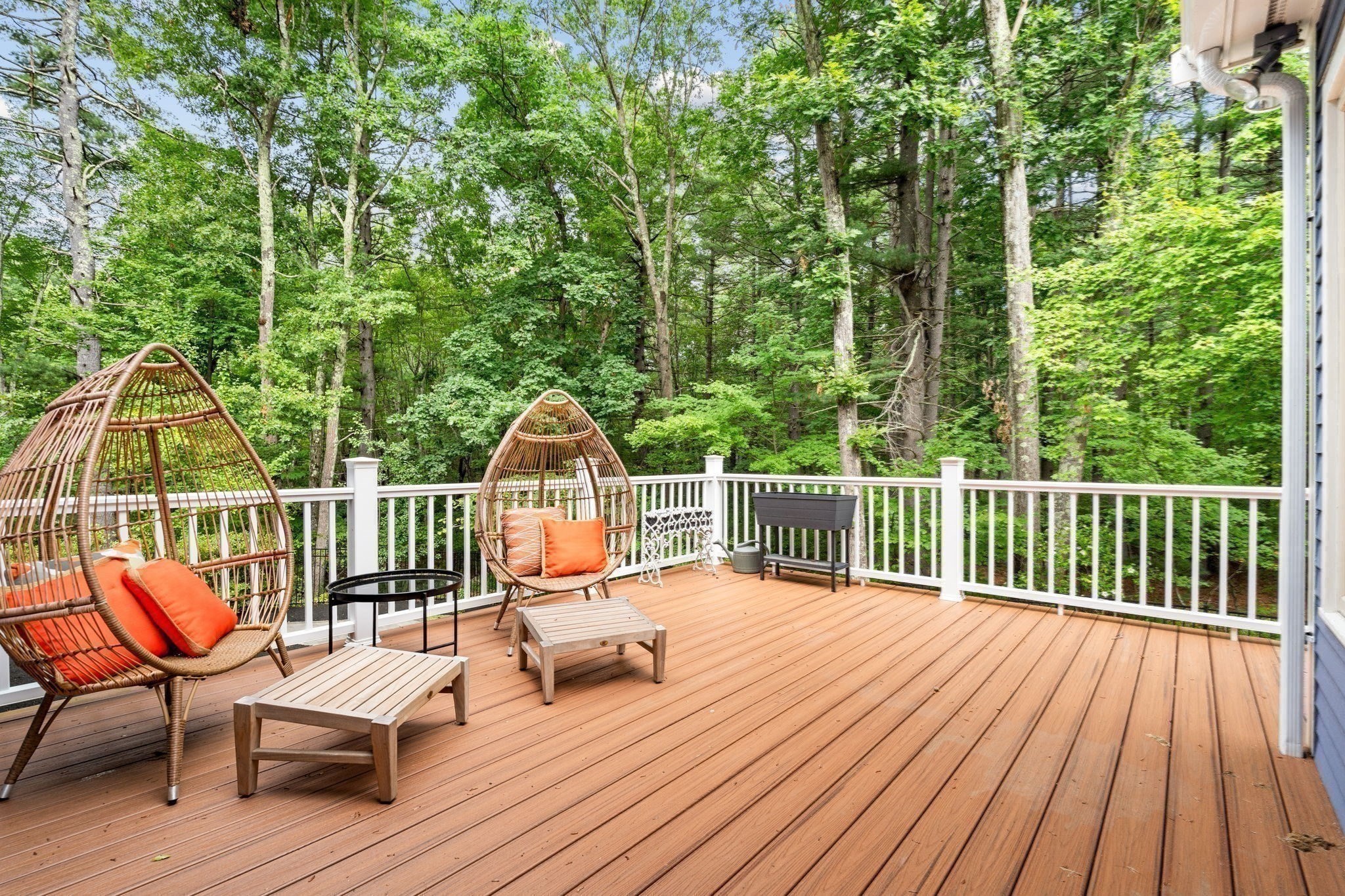 6 Sarah Doublet Road Property Photo 8