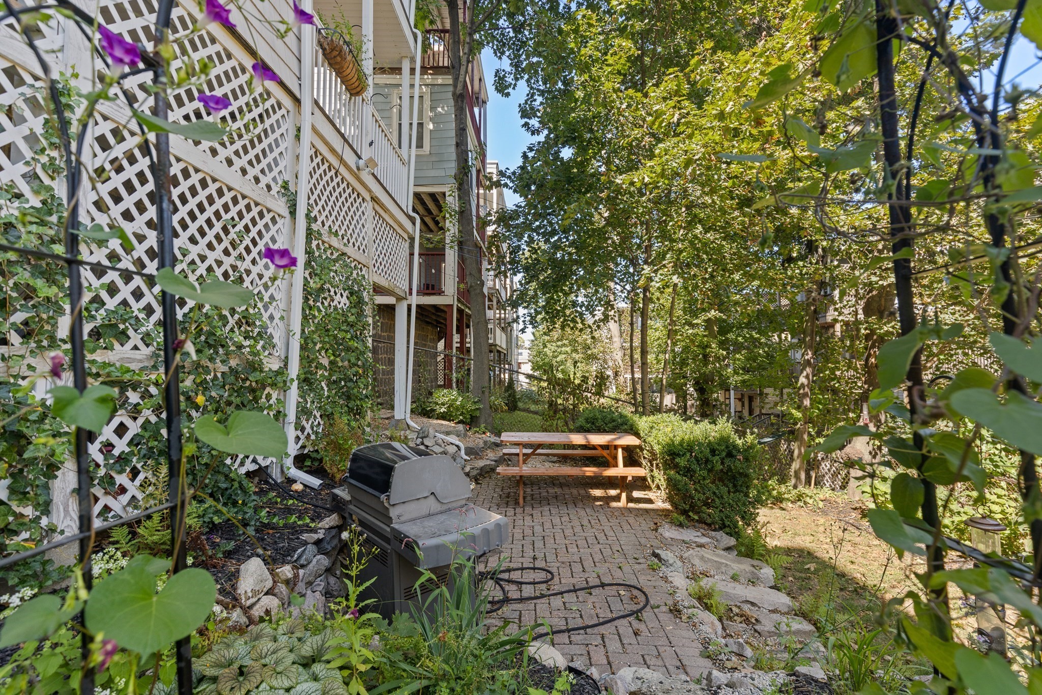 54 Percival Street # 2 Property Photo 20