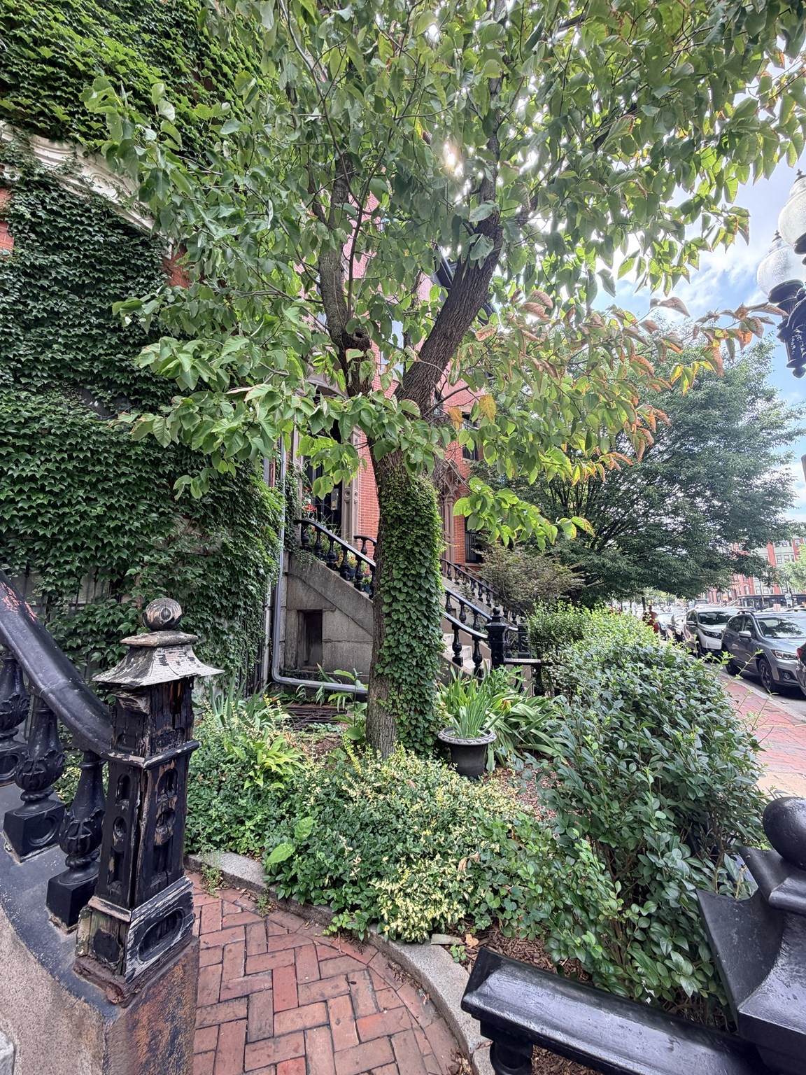 470 Massachusets Ave # 3 Property Photo 12