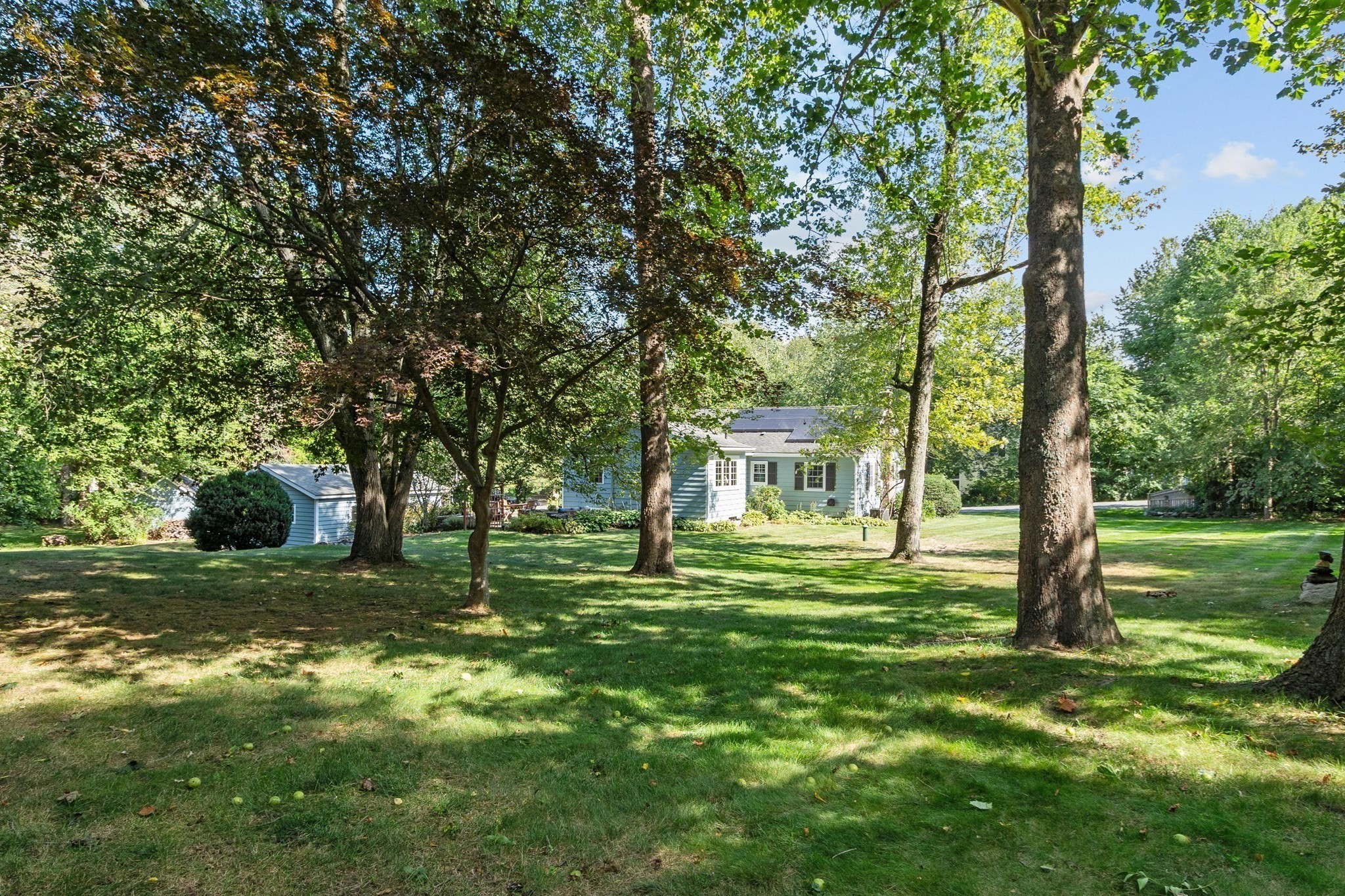 6 Nourse Road Property Photo 31