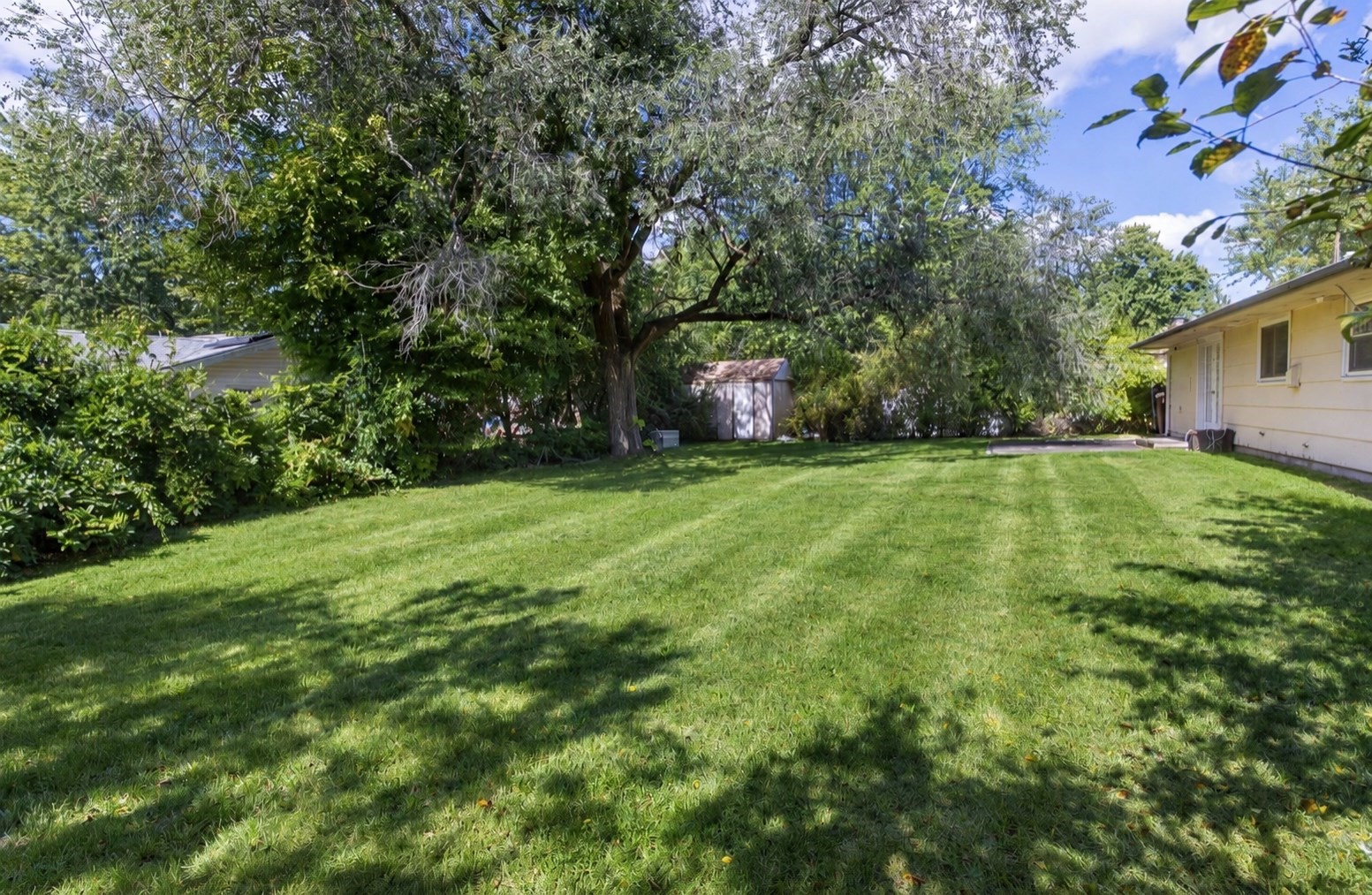 156 Boundary St Property Photo 18