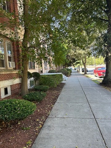 1710 Commonwealth Ave. # 3 Property Photo 3
