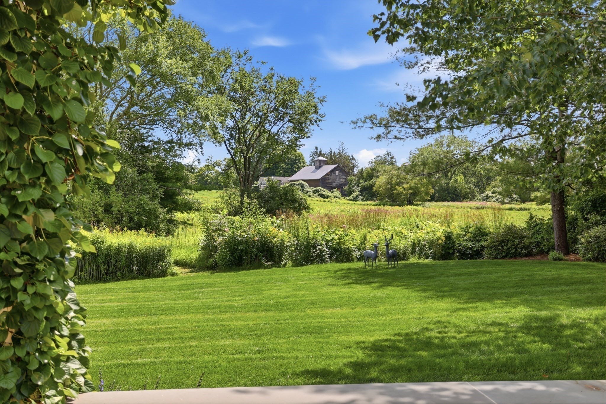 55 Estabrook Road Property Photo 41