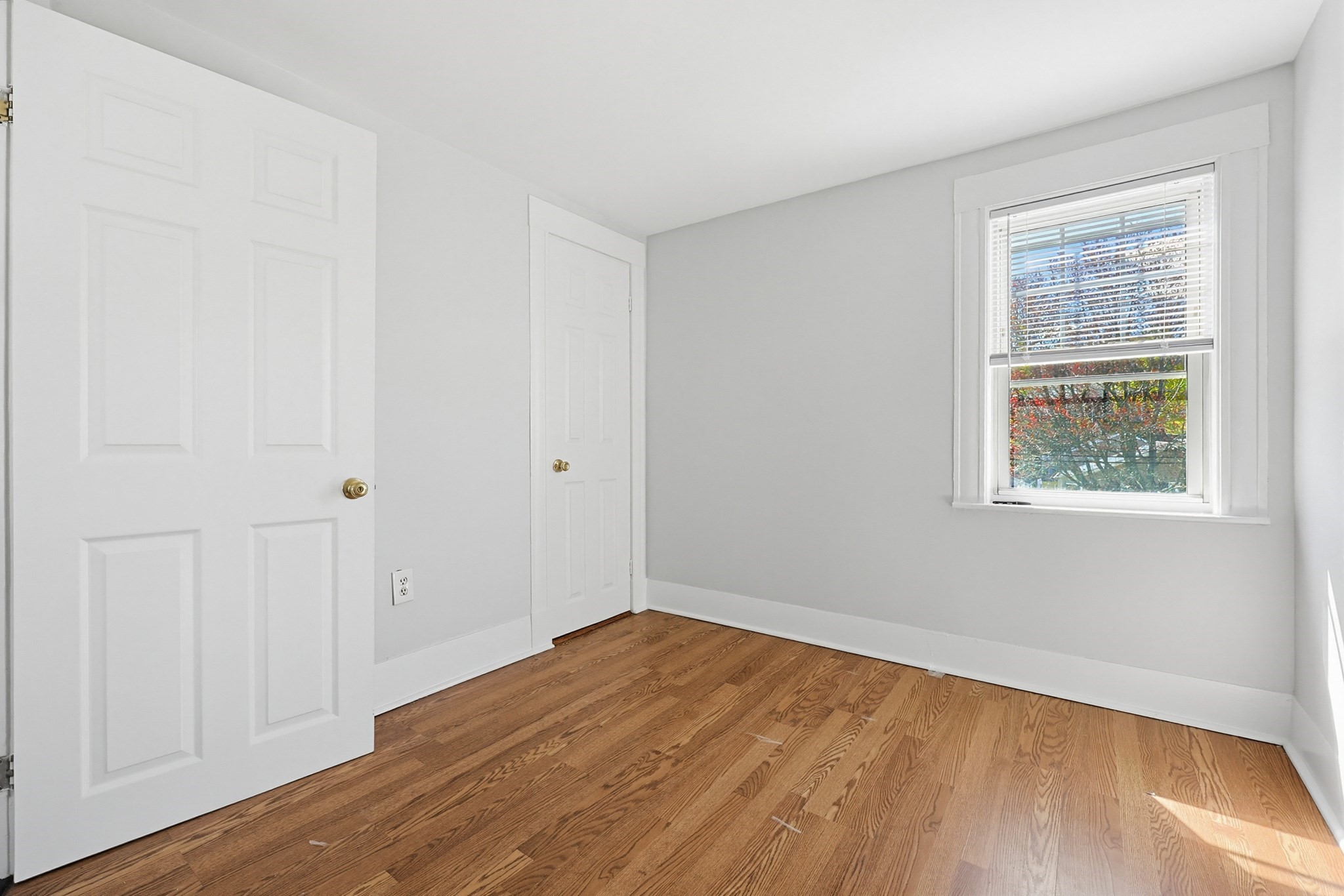 16 Patterson St Property Photo 23