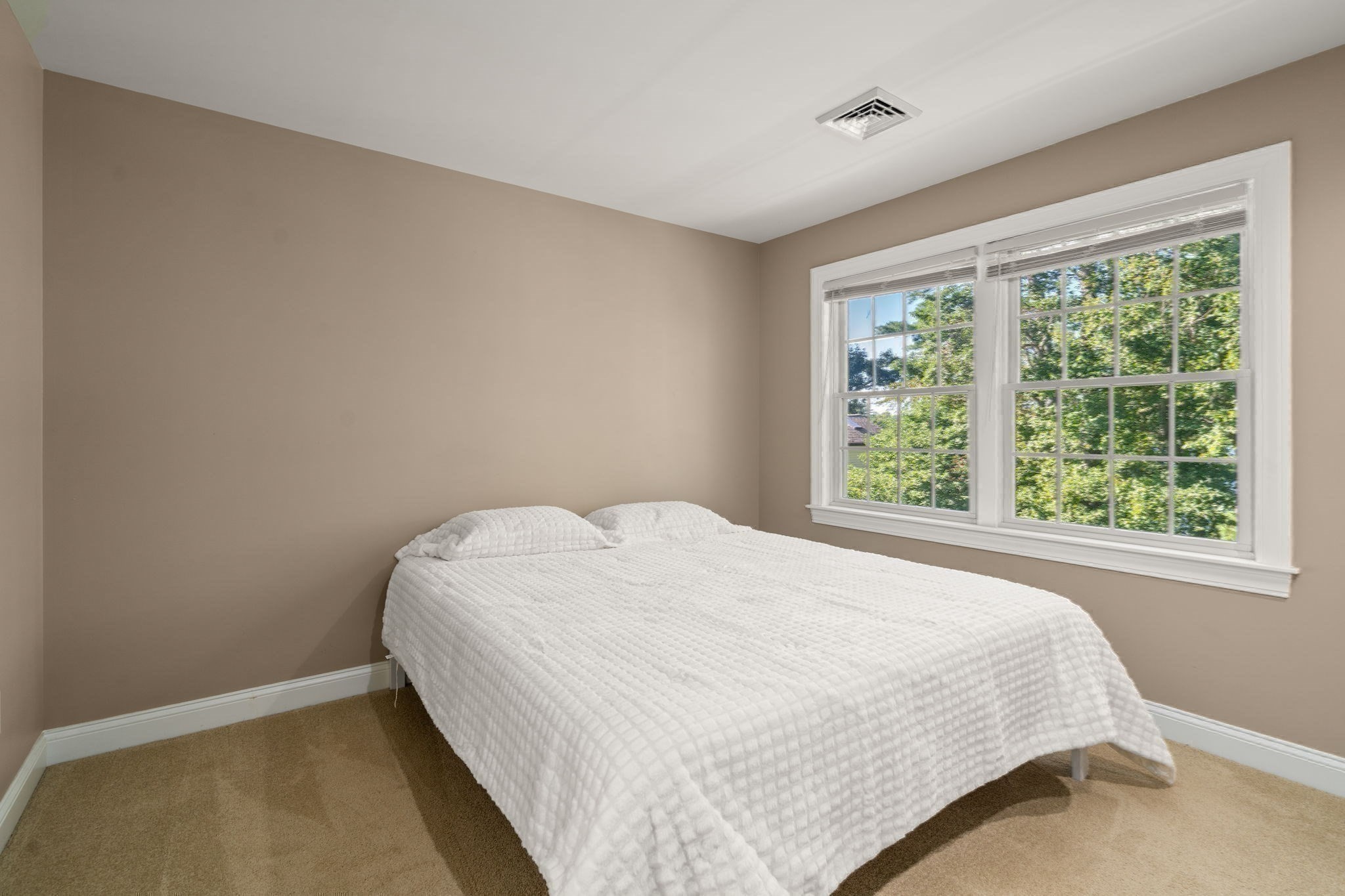16 Carmichael Way Property Photo 17
