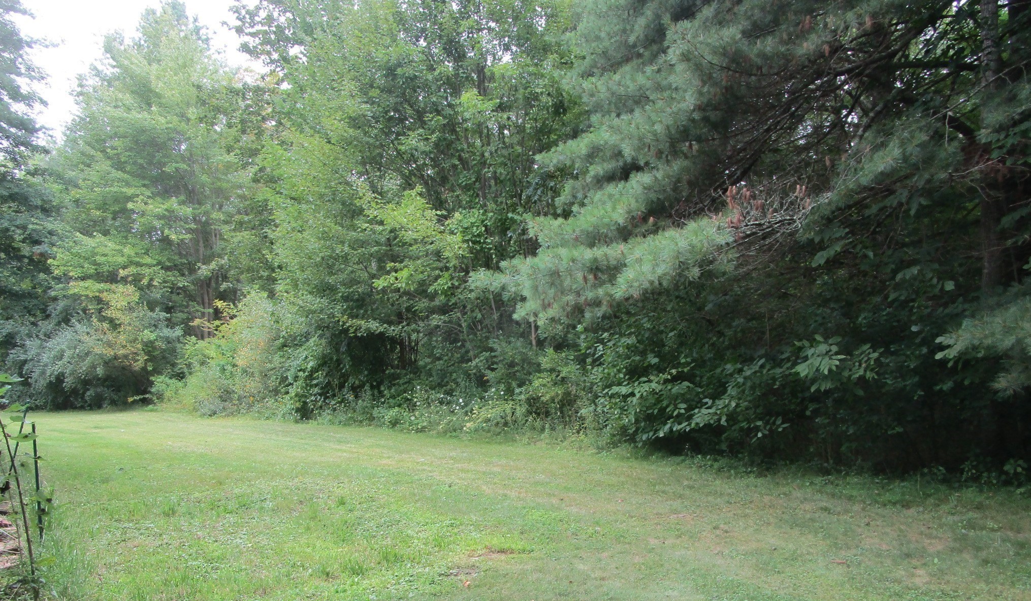 49 Wire Village Rd Property Photo 4