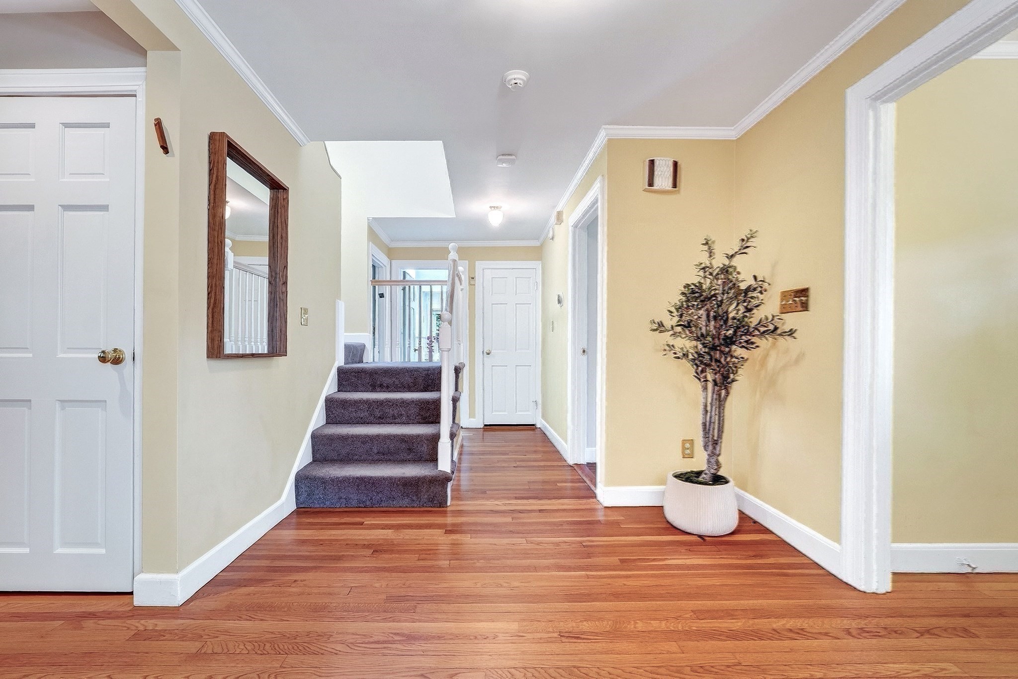 22 Nardell Rd Property Photo 24