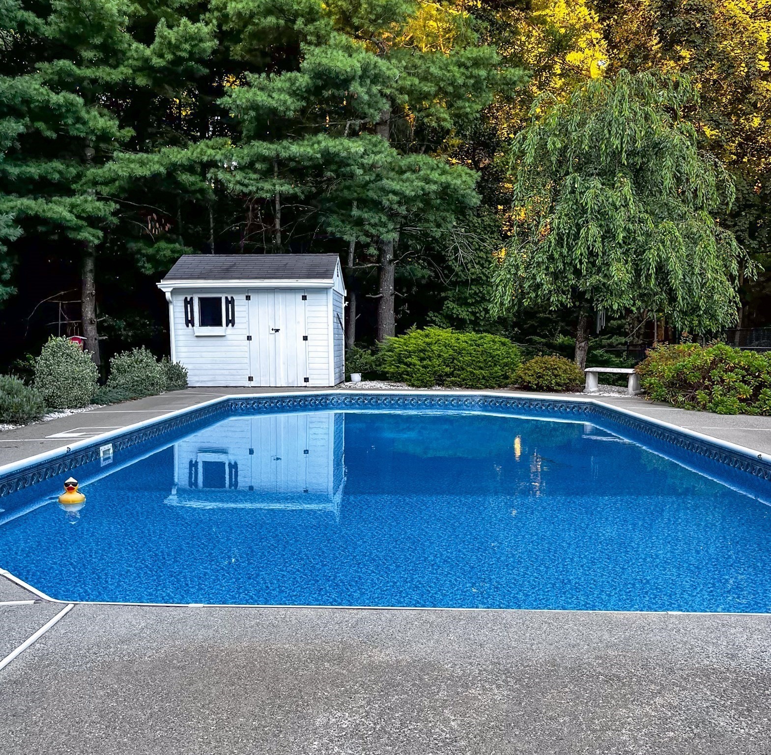 5 Carruth Dr Property Photo 26